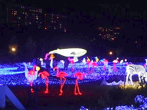 光の動物園