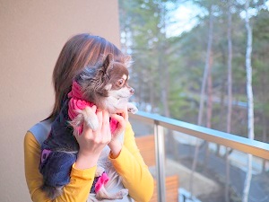 レジーナリゾート軽井沢御影用水ペット