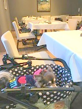 レジーナリゾート軽井沢御影用水食事