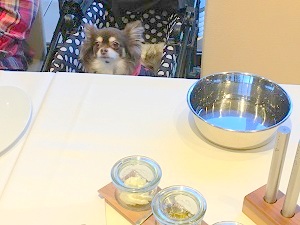 レジーナリゾート軽井沢御影用水夕食