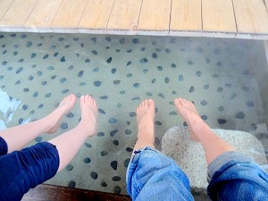 鷺の足湯外湯